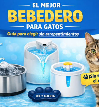 bebedero para gatos