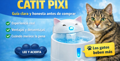fuente de agua catit pixi