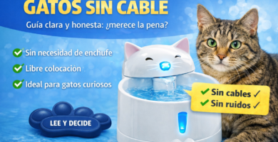 fuente de agua para gatos sin cables