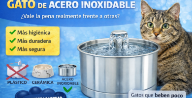 fuente de agua para gatos de acero inoxidable
