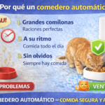 comederos automáticos
