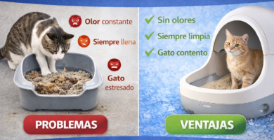 mejor arenero automático para gatos