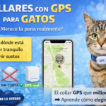 collares para gatos con GPS