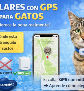 collares para gatos con GPS