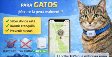 collares para gatos con GPS