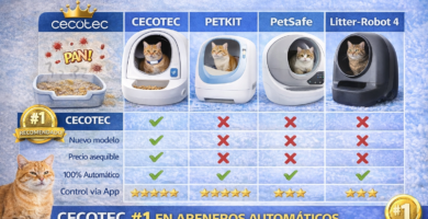 guía comederos automáticos gatos