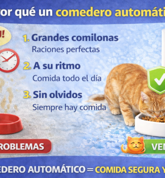 comedero automatico gatos