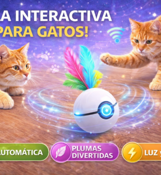 pelota interactiva gatos