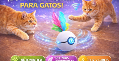 pelota interactiva gatos