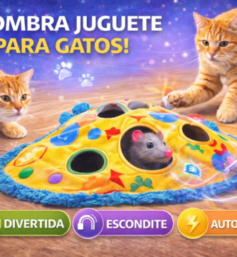 alfombra interactiva gatos