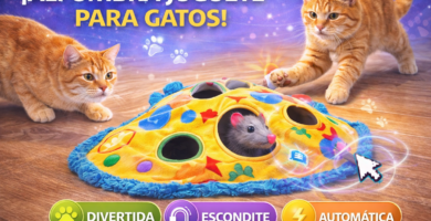 alfombra interactiva gatos