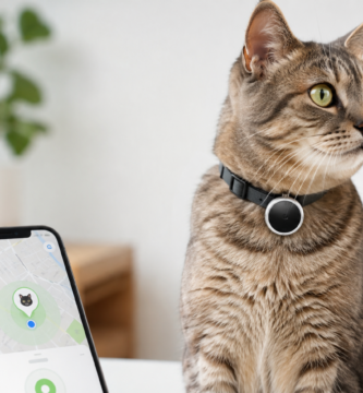 airtag para gatos