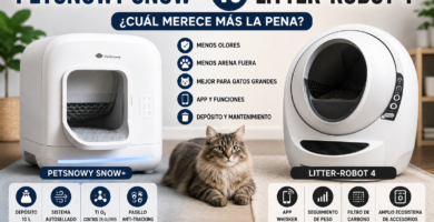 petnowy vs little robot 4
