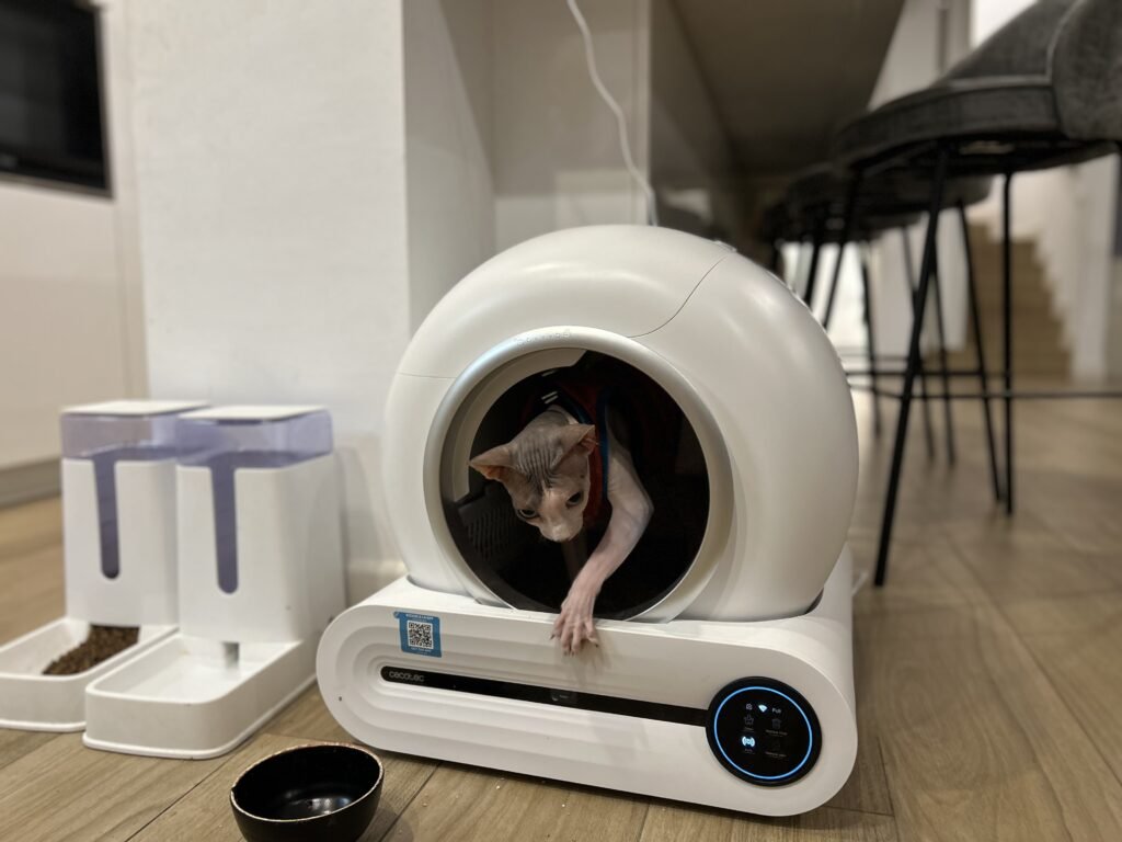 Coco saliendo del Cecotec Pumba 8550 después de utilizarlo