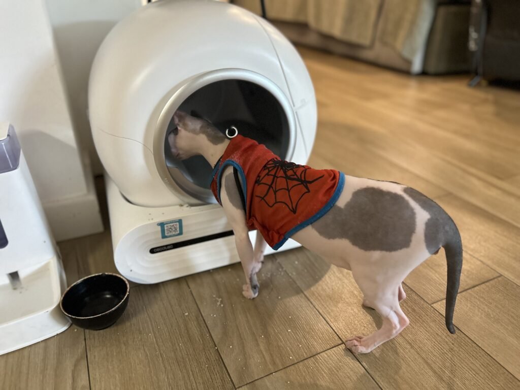 Sensor de seguridad del Cecotec Pumba 8550 detectando al gato