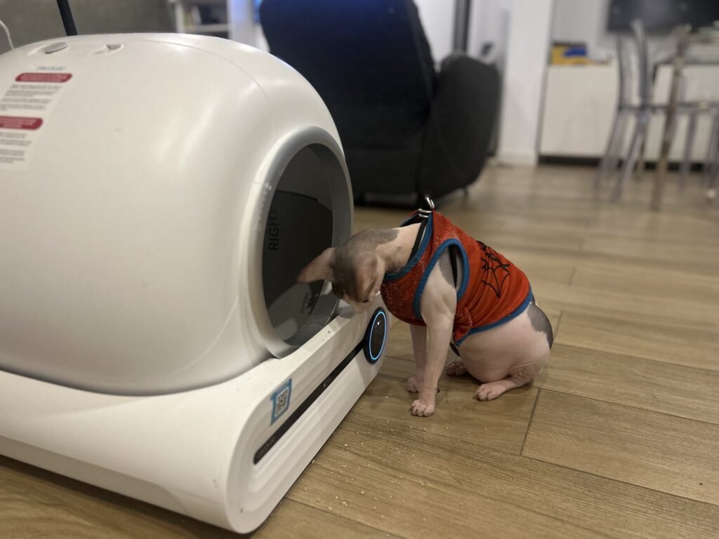 Coco descubriendo el arenero automático Cecotec Pumba 8550