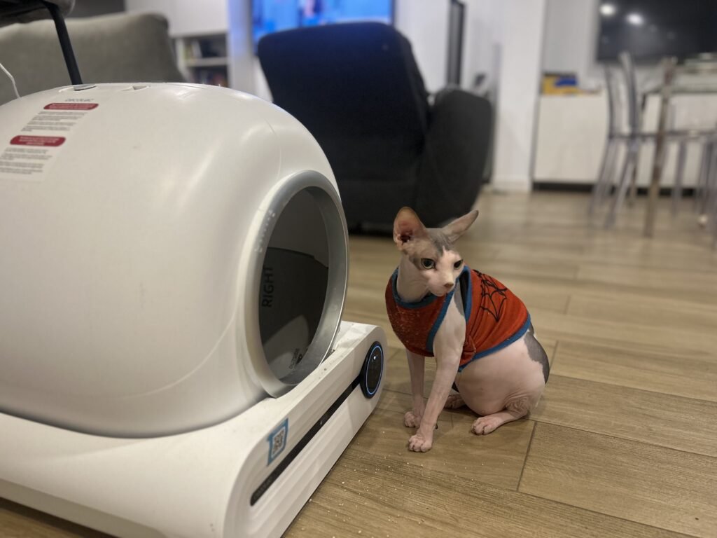 Coco junto al arenero automático Cecotec Pumba 8550 tras una semana de uso
